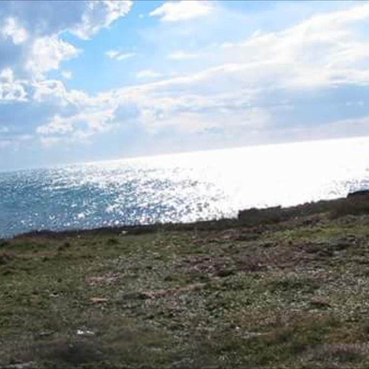 Donna Concetta Casa Vacanze * Felline